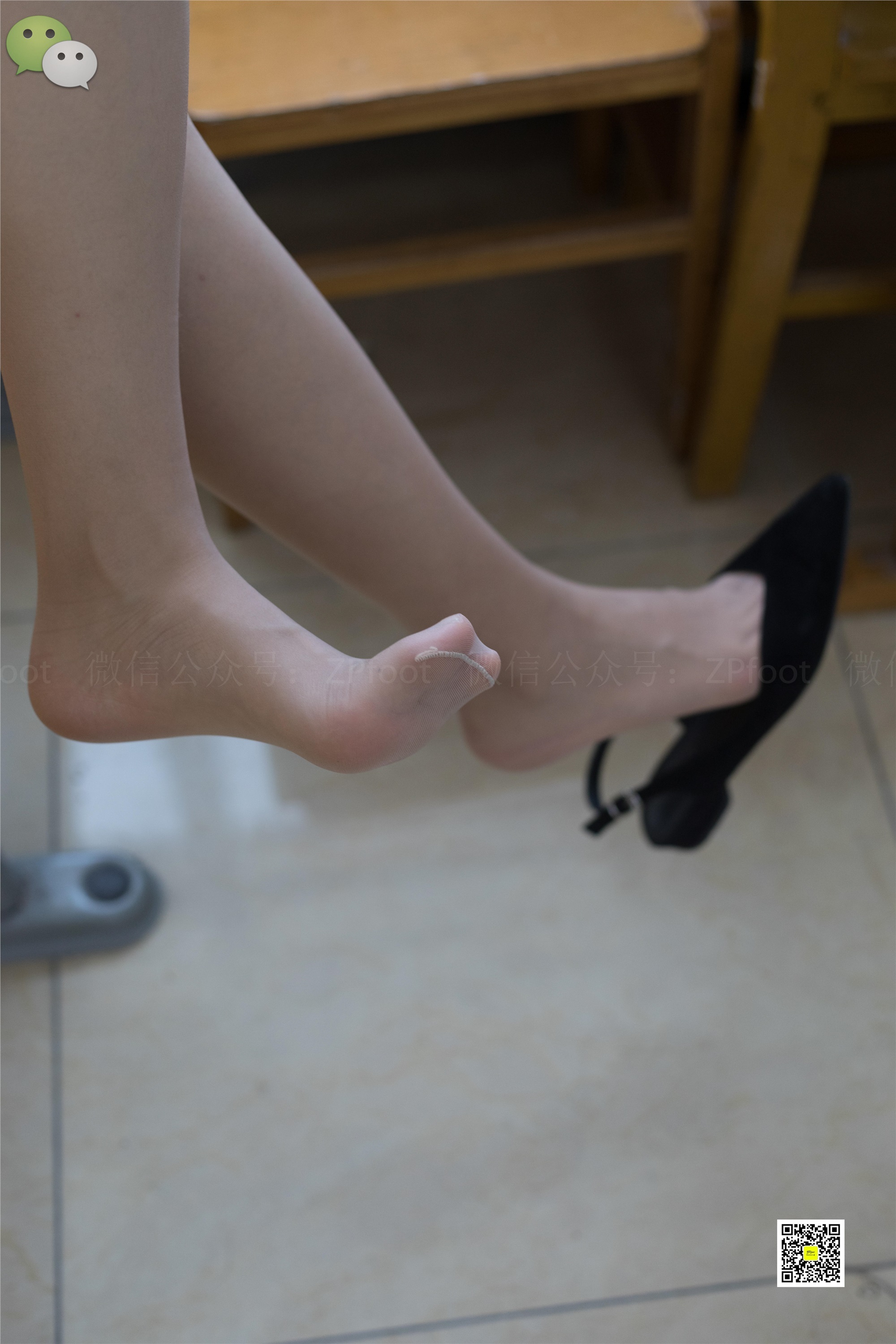 LSS山茶摄影 NO.005 学生肉丝